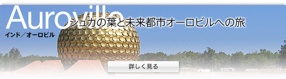 �C���h/�I�[���r��