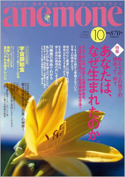 anemone