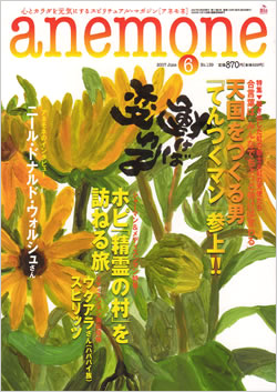 anemone
