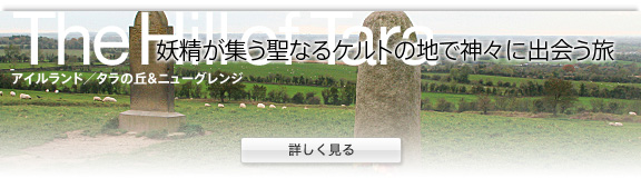 �A�C�������h/�P���g