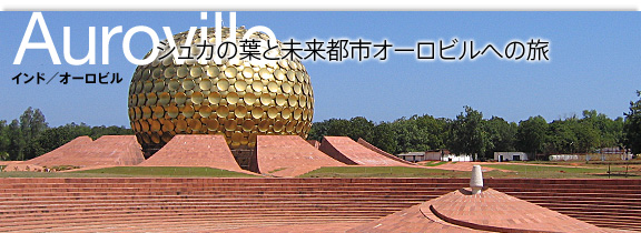 �C���h/�I�[���r��